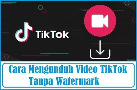 Kenapa Mengunduh Video TikTok Tanpa Watermark?
